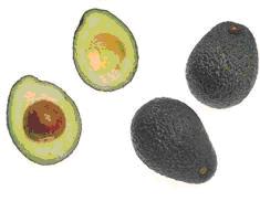 Avocat Un fruit riche en acides gras essentiels et en vitamine E