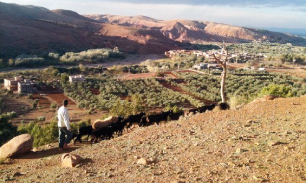 Régions Plus de 16 millions de DH pour la lutte contre la pauvreté à Ouarzazate
