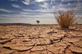 Changements climatiques  Les rapports «Baissons la chaleur» de la BM étudiés à Rabat