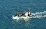 Les coopératives des pêches maritimes en séminaire de formation  