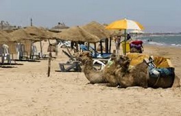 Londres conseille aux touristes britanniques de quitter la Tunisie
