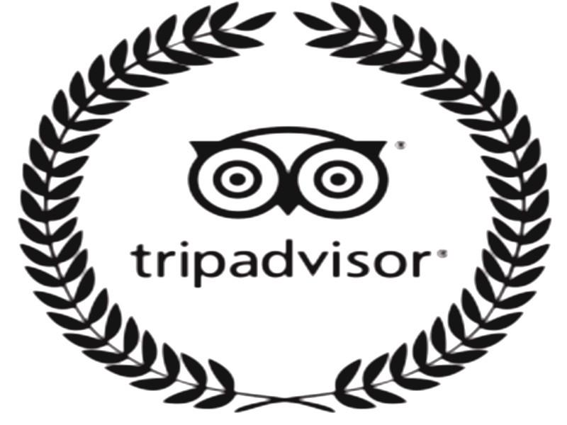 Tendance voyage 2019 par TripAdvisor : La famille d’abord !