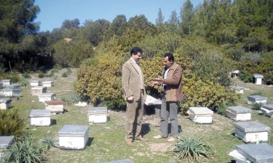 Agriculture   À la recherche d un nouveau souffle pour l apiculture