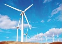 Les énergies renouvelables au diapason à Laâyoune   Un secteur à fort pot