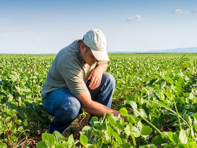 Formation agricole : 4 programmes à évaluer et actualiser