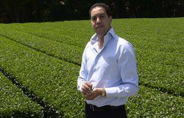 Saga. Comment une entreprise marocaine est devenue leader mondial du thé de luxe