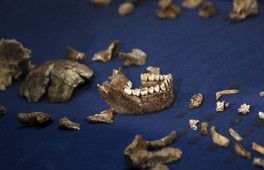 Découverte en Afrique du Sud de l’Homo naledi
