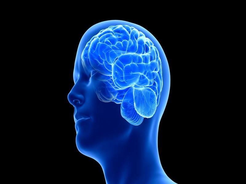 Sciences : une nouvelle méthode pour apprendre à contrôler son cerveau