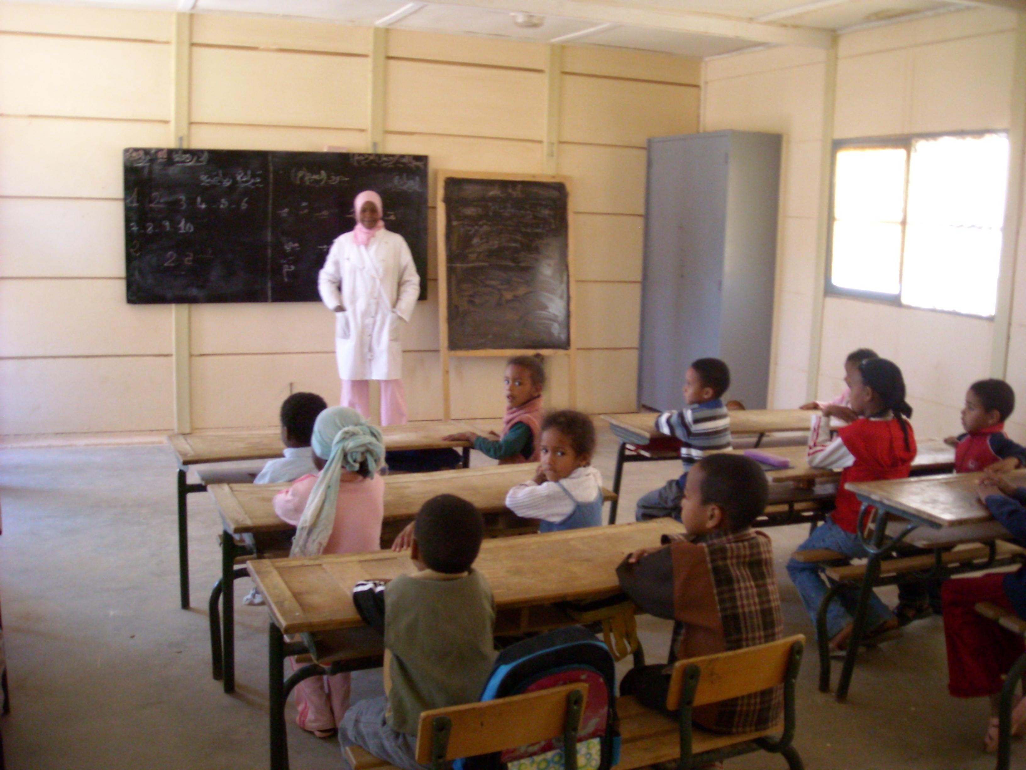 Maladies émergentes :Les nouveaux défis de la santé maternelle