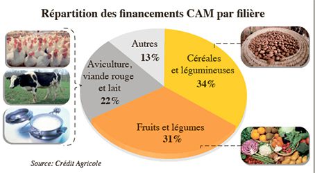 SIJILMASSI AU CLUB DE L’ECONOMISTE  25 MILLIARDS DE DIRHAMS POUR LE PLAN MAROC VERT