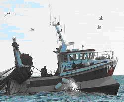 Accord de pêche   Maroc - UE