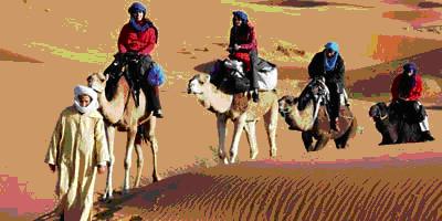Tourisme au Sahara  ces milliers de nuitées qui échappent aux statistiques officielles