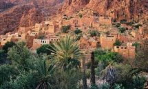 Les oasis marocaines entre développement durable et besoins sociaux 