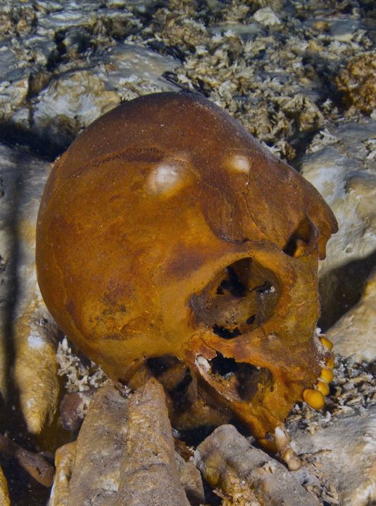 Un squelette vieux de 13 000 ans lève le voile sur l’origine des Amérindiens