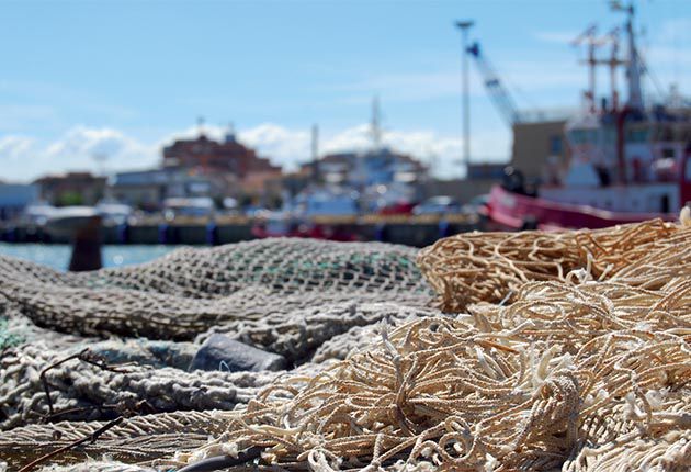 Ratification de l'accord de pêche, l’Espagne jubile