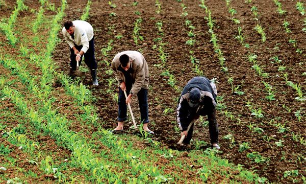Ouverture aujourd'hui des Assises nationales L'agriculture familiale à l'honneur