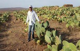Le Maroc en position forte face à l'évolution du climat