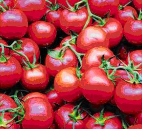 Agriculture: Les fruits et légumes s'exportent bien