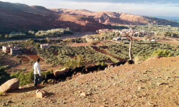 Régions Plus de 16 millions de DH pour la lutte contre la pauvreté à Ouarzazate