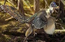 Un gros cousin du Velociraptor découvert en Chine