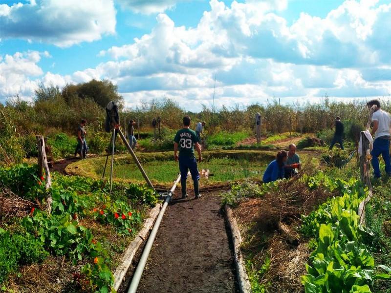 Les petites fermes sont le futur de notre alimentation, protégeons-les !