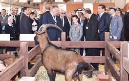 La plus grande ferme du Maroc s'ouvre à Meknès