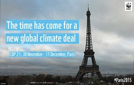 COP 21  195 pays à Paris en quête d'un accord