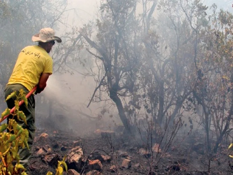 Poursuite des efforts pour lutter contre les incendies de forêt