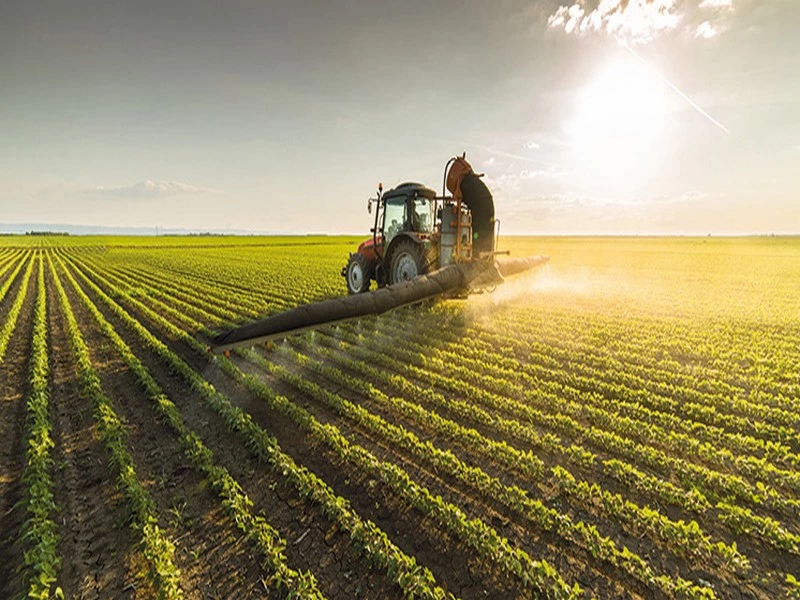 Le Maroc prévoit une bonne récolte agricole en 2022