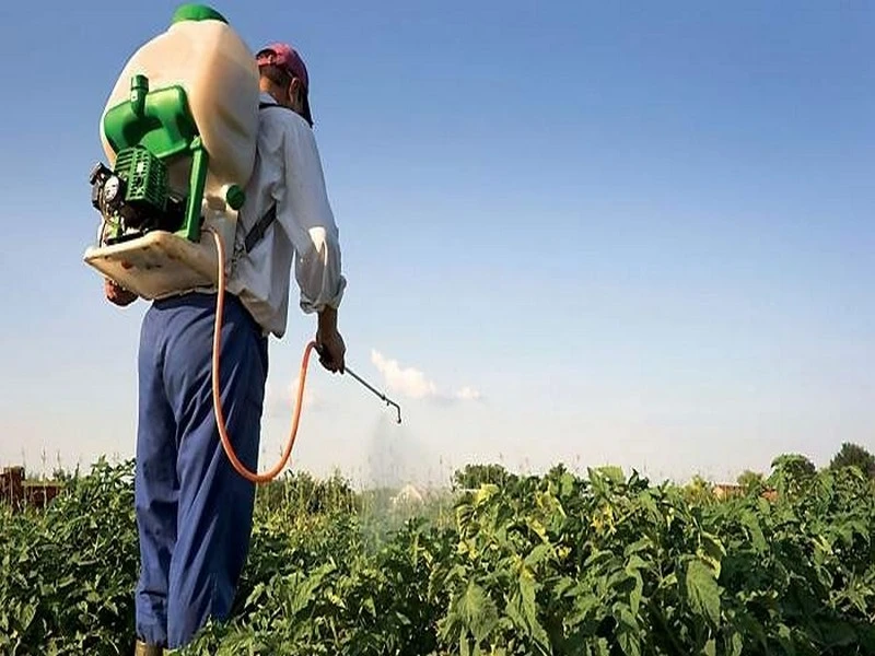 L’écoulement de dangereux pesticides sur les marchés menace la santé des Marocains