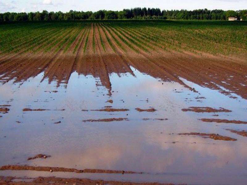 Pénurie d'eau au Maroc: le CESE tire la sonnette d'alarme