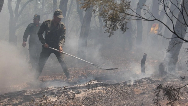 De nouveaux feux de forêt embrasent plusieurs régions du Maroc