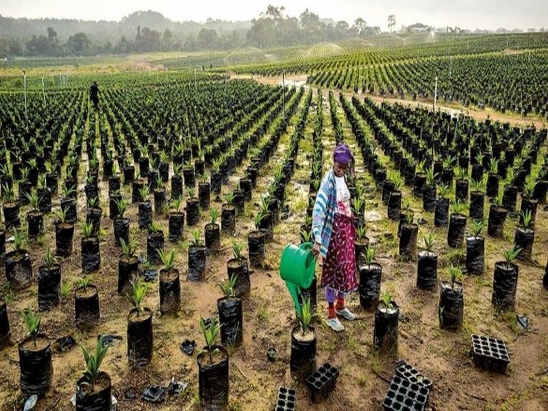 Agriculture: un nouveau tournant après celui du Plan Maroc Vert