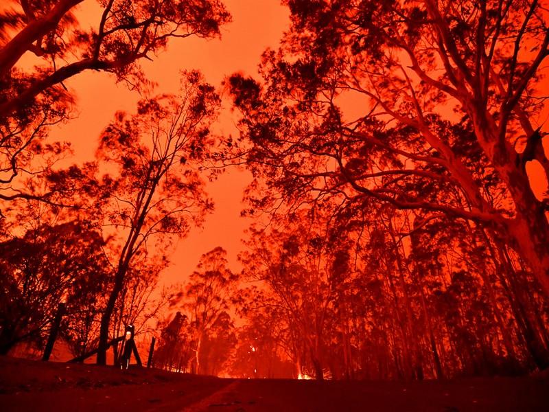 Incendies en Australie : les émissions de CO2 explosent, un phénomène inquiétant 