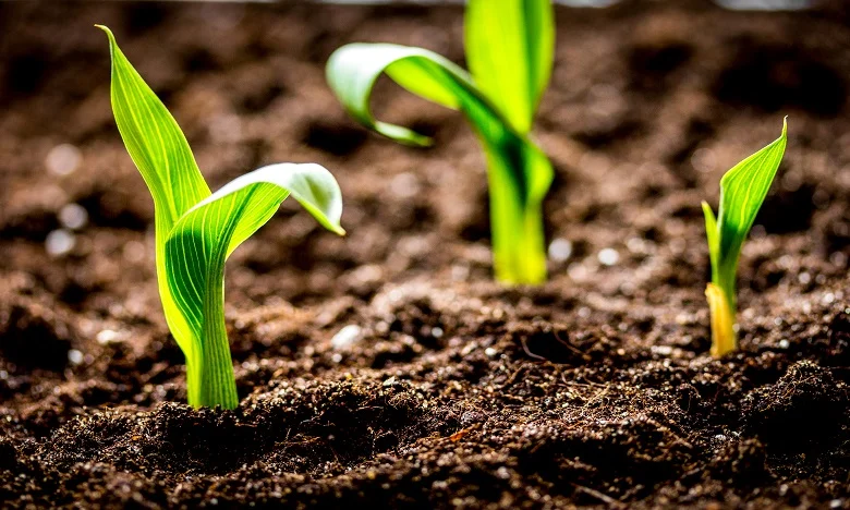 Les systèmes agroalimentaires mondiaux doivent se préparer à de nouveaux