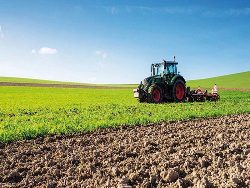 Aligné sur «Al Jayl Al Akhdar 2020-2030» : L’ADA lance un programme pour jeunes entrepreneurs agricoles