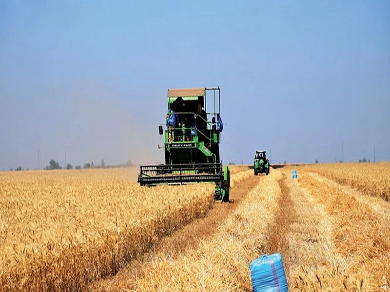 Campagne agricole 2021-2022 : 3,7 millions d’hectares emblavés en cultures d’automne