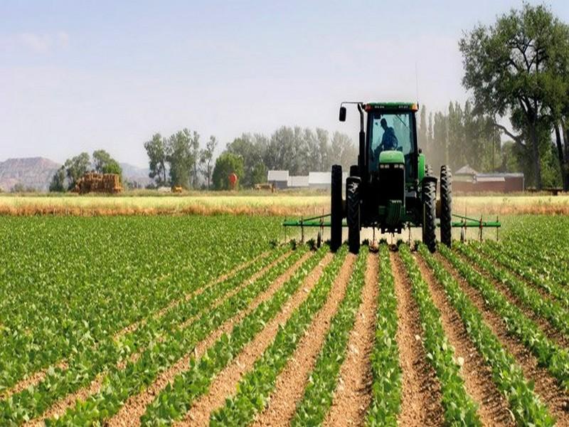 Lancement à Sidi Kacem de la campagne agricole 2019-2020 : Les nouvelles dispositions dévoilées par Aziz Akhannouch