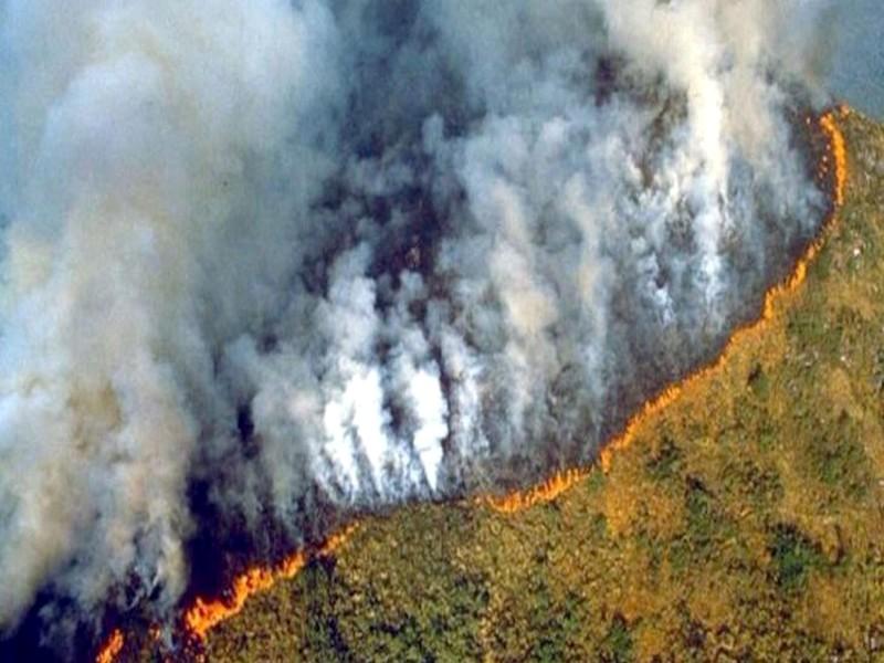 Brésil : L’Amazonie en proie aux incendies, la ville de Sao Paulo plongée dans le noir