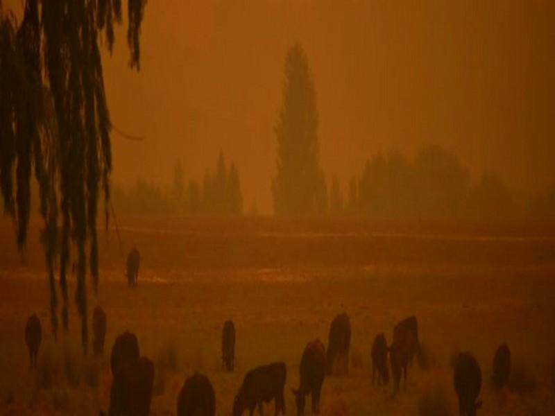 Tempête de poussière et averse de grèle sur l’Australie sinistrée par les feux