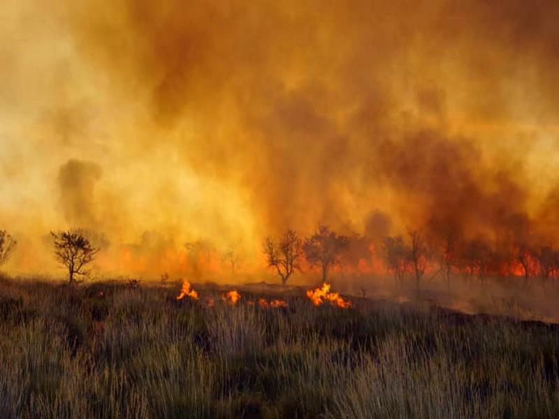 Incendies en Australie : le plus grand feu maîtrisé mais le tourisme déjà impacté