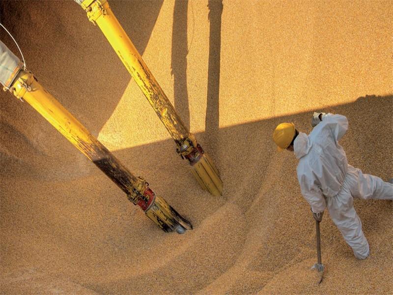 Céréales L’ONICL à la recherche de 132.000 tonnes de blé tendre