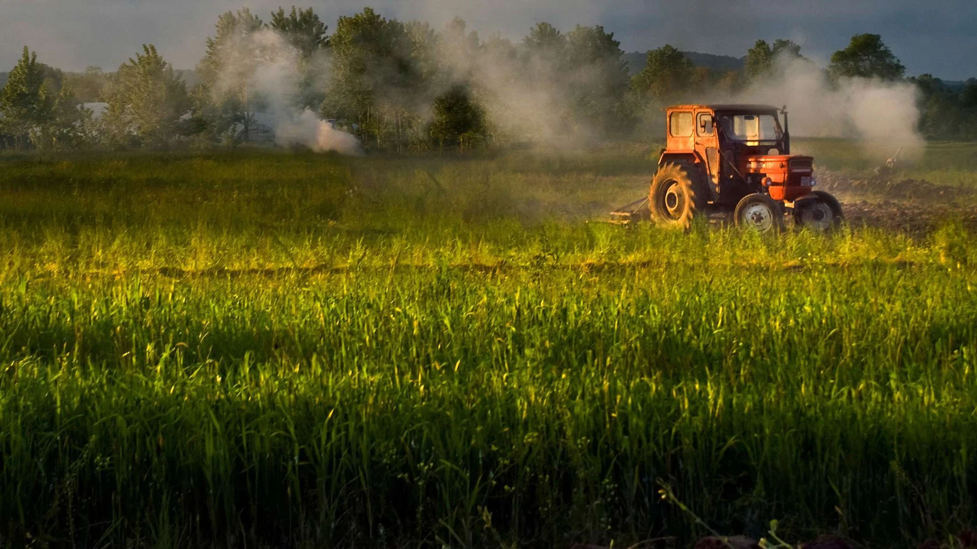 Maroc : Sans pluie, il n’y a ni agriculture ni croissance