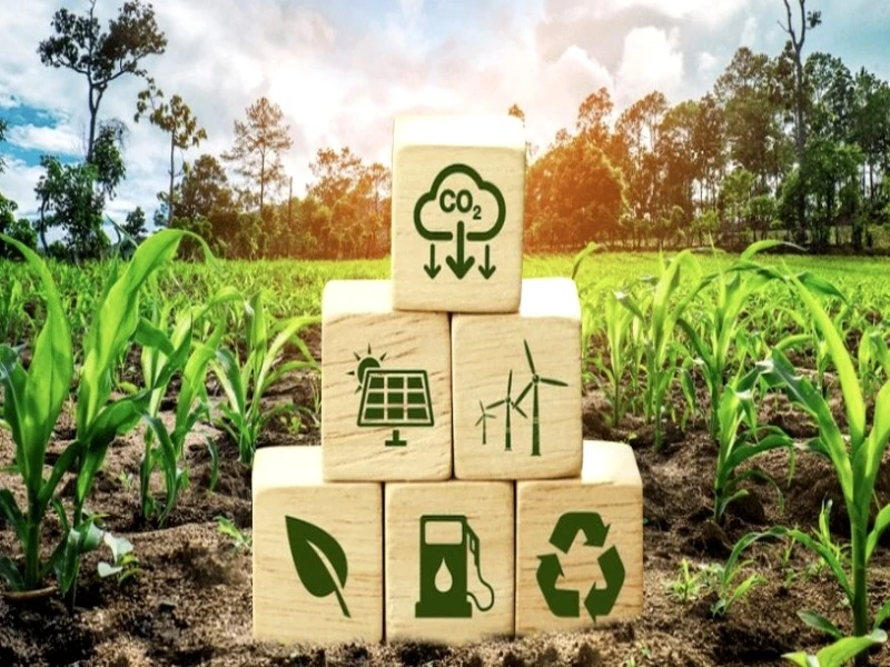 L’UM6P et l’OIT tiennent les «Agri Carbon Days» à Rabat