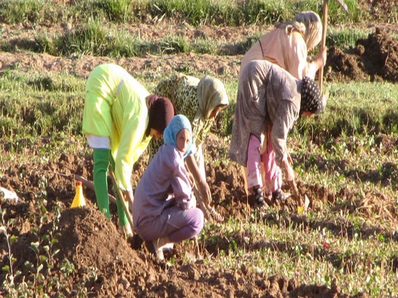 Reportage. La dure réalité des femmes rurales