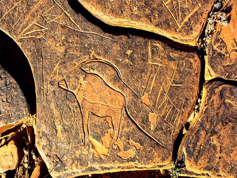 #MAROC_ARCHEOLOGIE_GRAVURES_RUPESTRES: Art rupestre du Maroc : un patrimoine riche, menacé et peu valorisé