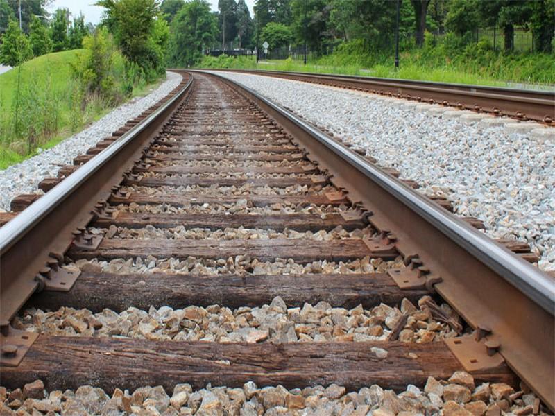 Infrastructure ferroviaire «Le cheval de fer» au secours du développement durable