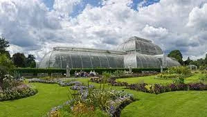 #BOTANIQUE: #Les_jardins_de_Kew_Londres: Ils battent le record de la plus grande collection de plantes avec 16900 espèces 