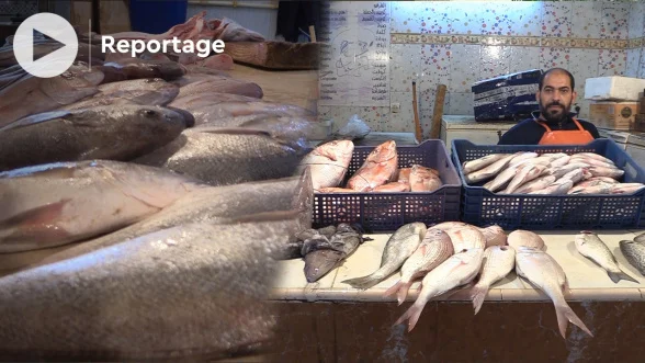 Vidéo. À Dakhla, la vente de poisson cartonne