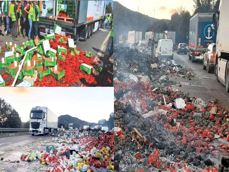 Les camions marocains attaqués : La COMADER dépose une plainte contre les agriculteurs espagnols